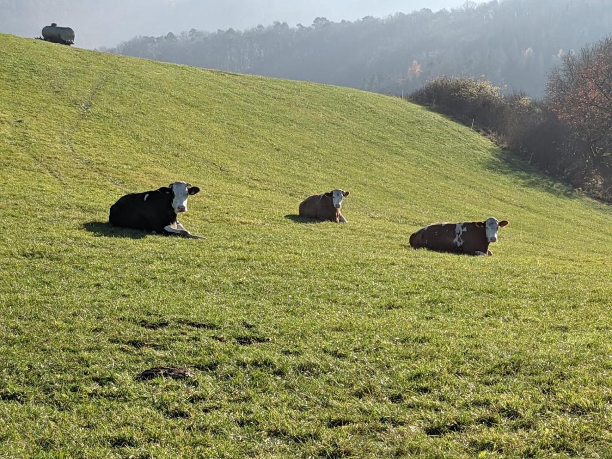 Ferienwohnungen Am Aeppelsberg Volkesfeld Exterior photo